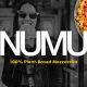 Best Numu Vegan Cheese: Recipes & Reviews (Dairy-Free!) | Discover Delicious Vegan Food, Beauty Swaps, and Zero-Waste Tips for a Greener Life
