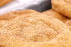 Easy Vegan Snickerdoodle Cookie Recipes: The Best Plant-Based Cookies | Discover Delicious Vegan Food, Beauty Swaps, and Zero-Waste Tips for a Greener Life
