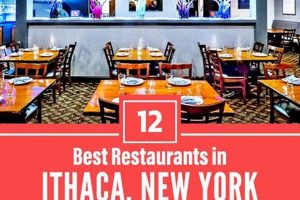 Best Vegan Restaurants in Ithaca, NY: A Guide! Discover Delicious Vegan Food, Beauty Swaps, and Zero-Waste Tips for a Greener Life Best Vegan Restaurants in Ithaca, NY: A Guide! | Discover Delicious Vegan Food, Beauty Swaps, and Zero-Waste Tips for a Greener Life