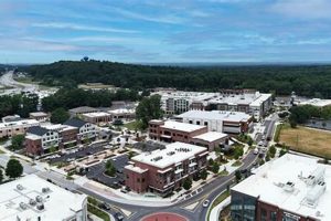 Guide to Vegan Restaurants in Snellville, GA: Find Best! Discover Delicious Vegan Food, Beauty Swaps, and Zero-Waste Tips for a Greener Life Guide to Vegan Restaurants in Snellville, GA: Find Best! | Discover Delicious Vegan Food, Beauty Swaps, and Zero-Waste Tips for a Greener Life