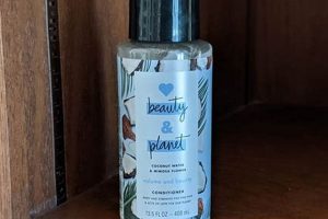 The *Best* Natural Vegan Conditioner For *Gorgeous* Hair | Discover Delicious Vegan Food, Beauty Swaps, and Zero-Waste Tips for a Greener Life