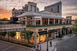 Best Vegan Restaurants in Buckhead, GA: Find Your Flavor! | Discover Delicious Vegan Food, Beauty Swaps, and Zero-Waste Tips for a Greener Life