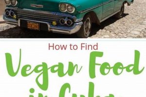 Discover Vegan Food in Cuba: A Culinary Journey! Discover Delicious Vegan Food, Beauty Swaps, and Zero-Waste Tips for a Greener Life Discover Vegan Food in Cuba: A Culinary Journey! | Discover Delicious Vegan Food, Beauty Swaps, and Zero-Waste Tips for a Greener Life