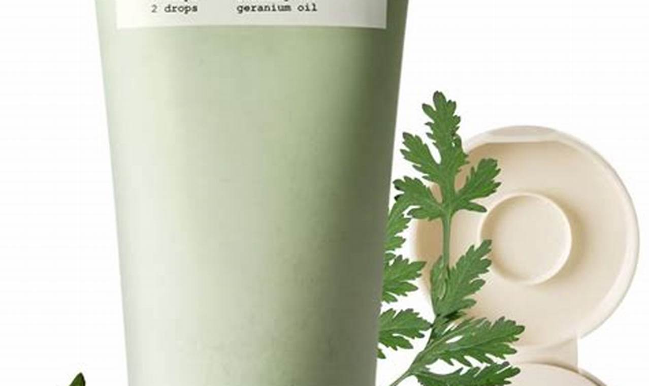 Gentle Vegan Facial Cleanser: Your Guide + Best Picks | Discover Delicious Vegan Food, Beauty Swaps, and Zero-Waste Tips for a Greener Life