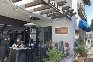 Best Vegan Restaurants in San Clemente: Guide | Discover Delicious Vegan Food, Beauty Swaps, and Zero-Waste Tips for a Greener Life