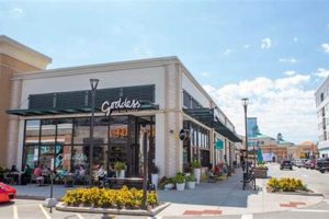 Guide to Best Vegan Restaurants in Brookfield, WI Discover Delicious Vegan Food, Beauty Swaps, and Zero-Waste Tips for a Greener Life Guide to Best Vegan Restaurants in Brookfield, WI | Discover Delicious Vegan Food, Beauty Swaps, and Zero-Waste Tips for a Greener Life