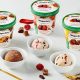Indulge Vegan Ice Cream: Hagen-Dazs Plant-Based Treats | Discover Delicious Vegan Food, Beauty Swaps, and Zero-Waste Tips for a Greener Life