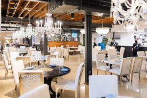 Guide to Best Rochester MN Vegan Restaurants Near You | Discover Delicious Vegan Food, Beauty Swaps, and Zero-Waste Tips for a Greener Life