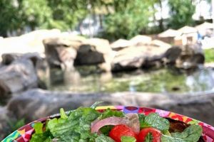 Best Vegan Food Saratoga Springs: Local Plant-Based Eats | Discover Delicious Vegan Food, Beauty Swaps, and Zero-Waste Tips for a Greener Life