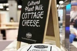 Plant-Based Bliss: Vegan Cottage Cheese Brand Guide & More! | Discover Delicious Vegan Food, Beauty Swaps, and Zero-Waste Tips for a Greener Life