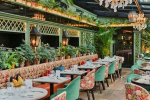 The Best Vegan Restaurants Manchester: A Complete Guide | Discover Delicious Vegan Food, Beauty Swaps, and Zero-Waste Tips for a Greener Life