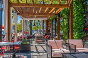 Ferndale's Best Vegan Restaurants: Your Guide to Plant-Based Eats | Discover Delicious Vegan Food, Beauty Swaps, and Zero-Waste Tips for a Greener Life