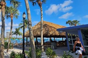 Your Guide to Sarasota, Florida Vegan Restaurants + More! | Discover Delicious Vegan Food, Beauty Swaps, and Zero-Waste Tips for a Greener Life