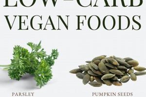 Fuel Your Body: High Protein Low Carb Vegan Recipes! | Discover Delicious Vegan Food, Beauty Swaps, and Zero-Waste Tips for a Greener Life