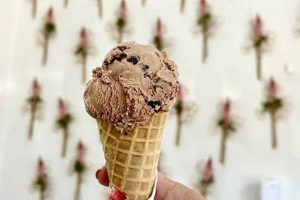 Best Vegan Ice Cream in San Jose: A Sweet Treat Guide | Discover Delicious Vegan Food, Beauty Swaps, and Zero-Waste Tips for a Greener Life