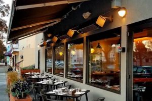 Find the Best Vegan Restaurant in Berkeley, CA: Top Picks! | Discover Delicious Vegan Food, Beauty Swaps, and Zero-Waste Tips for a Greener Life