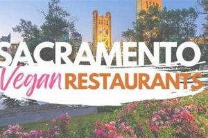 Top-Rated: Best Vegan Food in Sacramento Guide + More Discover Delicious Vegan Food, Beauty Swaps, and Zero-Waste Tips for a Greener Life Top-Rated: Best Vegan Food in Sacramento Guide + More | Discover Delicious Vegan Food, Beauty Swaps, and Zero-Waste Tips for a Greener Life