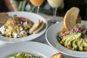 Best Vegan Restaurants in Destin, FL: Your Guide | Discover Delicious Vegan Food, Beauty Swaps, and Zero-Waste Tips for a Greener Life