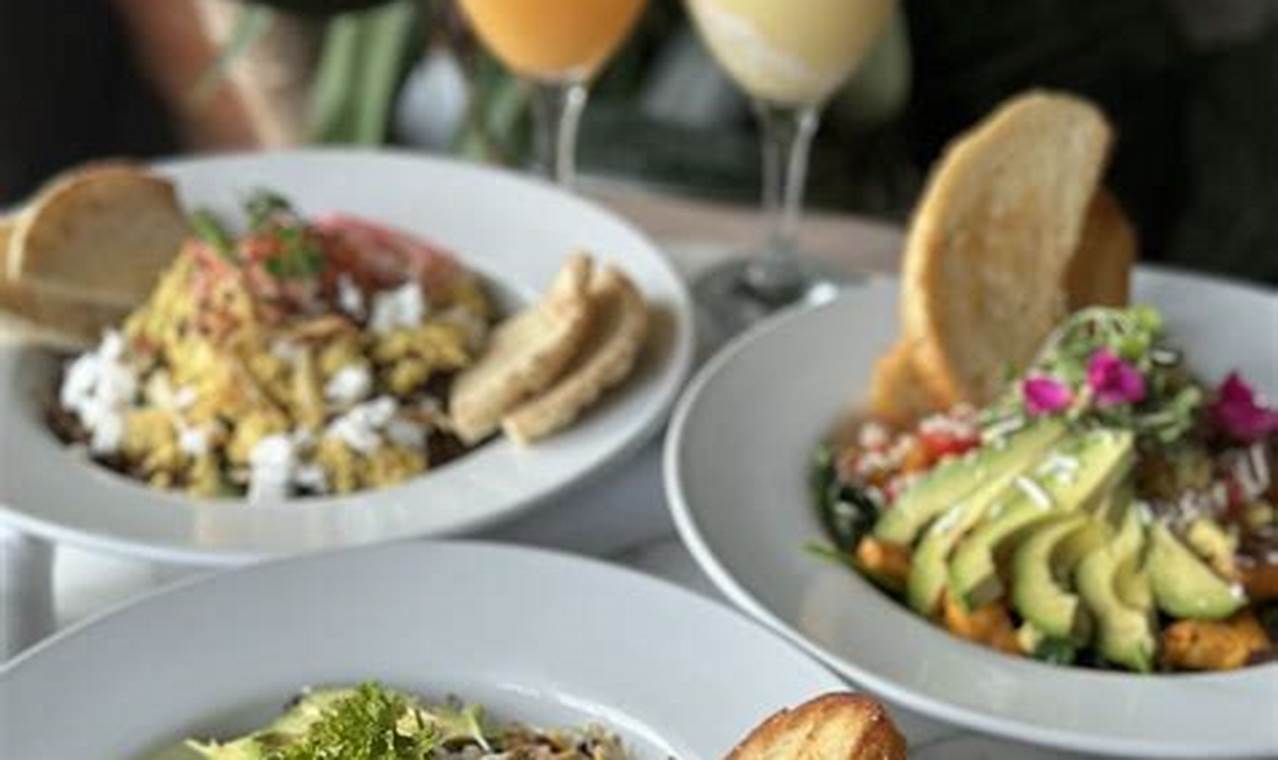 Best Vegan Restaurants in Destin, FL: Your Guide | Discover Delicious Vegan Food, Beauty Swaps, and Zero-Waste Tips for a Greener Life