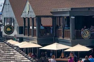 Your Guide to Best Vegan Restaurants in Newport RI Options | Discover Delicious Vegan Food, Beauty Swaps, and Zero-Waste Tips for a Greener Life