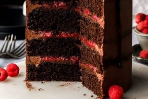 Decadent Chocolate Raspberry Vegan Cake Recipe: Easy & Delicious! | Discover Delicious Vegan Food, Beauty Swaps, and Zero-Waste Tips for a Greener Life