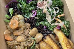 Guide to Vegan Food Jacksonville FL - Restaurants & More | Discover Delicious Vegan Food, Beauty Swaps, and Zero-Waste Tips for a Greener Life