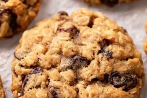 Easy Vegan Oatmeal Raisin Cookies Recipe: Bake Now! | Discover Delicious Vegan Food, Beauty Swaps, and Zero-Waste Tips for a Greener Life