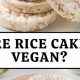 The Vegan Guide: Are Rice Cakes Vegan? + Brands | Discover Delicious Vegan Food, Beauty Swaps, and Zero-Waste Tips for a Greener Life