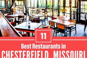 Best Vegan Restaurants Chesterfield MO: Plant-Based Guide | Discover Delicious Vegan Food, Beauty Swaps, and Zero-Waste Tips for a Greener Life