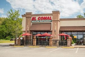 Find Vegan Restaurants Near Clarksville, TN: Guide & More! | Discover Delicious Vegan Food, Beauty Swaps, and Zero-Waste Tips for a Greener Life