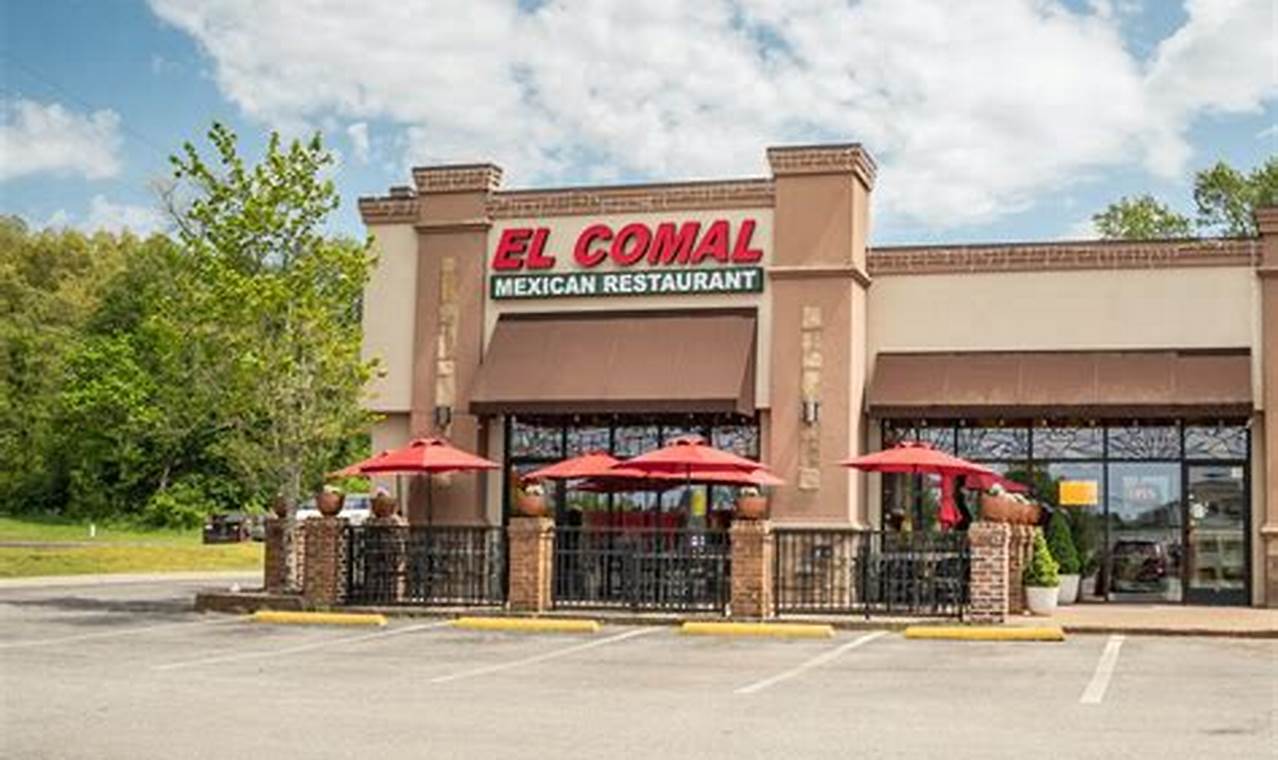 Find Vegan Restaurants Near Clarksville, TN: Guide & More! | Discover Delicious Vegan Food, Beauty Swaps, and Zero-Waste Tips for a Greener Life