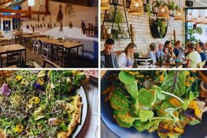 Best Vegan Restaurants in RI: Your Guide to Plant-Based Eats Discover Delicious Vegan Food, Beauty Swaps, and Zero-Waste Tips for a Greener Life Best Vegan Restaurants in RI: Your Guide to Plant-Based Eats | Discover Delicious Vegan Food, Beauty Swaps, and Zero-Waste Tips for a Greener Life