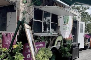 Guide to Vegan Restaurants in Puerto Rico: Find Local Gems! | Discover Delicious Vegan Food, Beauty Swaps, and Zero-Waste Tips for a Greener Life