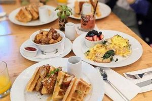 Your Guide: Best Vegan Restaurants in Santa Clara, CA Discover Delicious Vegan Food, Beauty Swaps, and Zero-Waste Tips for a Greener Life Your Guide: Best Vegan Restaurants in Santa Clara, CA | Discover Delicious Vegan Food, Beauty Swaps, and Zero-Waste Tips for a Greener Life