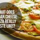 Vegan Cheese: What Does It Taste Like? Taste Guide | Discover Delicious Vegan Food, Beauty Swaps, and Zero-Waste Tips for a Greener Life