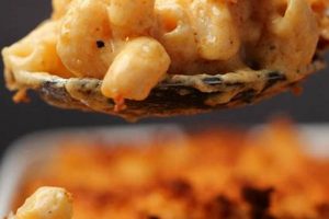 Quick & Cheesy: Vegan Mac and Cheese Microwave Recipe! Discover Delicious Vegan Food, Beauty Swaps, and Zero-Waste Tips for a Greener Life Quick & Cheesy: Vegan Mac and Cheese Microwave Recipe! | Discover Delicious Vegan Food, Beauty Swaps, and Zero-Waste Tips for a Greener Life