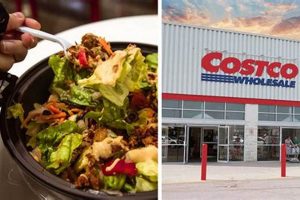 Your Guide to Costco's Vegan Food Court + Best Picks Discover Delicious Vegan Food, Beauty Swaps, and Zero-Waste Tips for a Greener Life Your Guide to Costco's Vegan Food Court + Best Picks | Discover Delicious Vegan Food, Beauty Swaps, and Zero-Waste Tips for a Greener Life