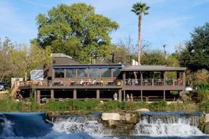 Best San Marcos Vegan Restaurants Near You Now! | Discover Delicious Vegan Food, Beauty Swaps, and Zero-Waste Tips for a Greener Life