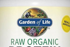 Best Raw Vegan Protein Powder: Power Up Naturally! | Discover Delicious Vegan Food, Beauty Swaps, and Zero-Waste Tips for a Greener Life