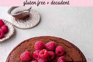 Delicious Vegan Flourless Cake Recipes + Tips | Discover Delicious Vegan Food, Beauty Swaps, and Zero-Waste Tips for a Greener Life