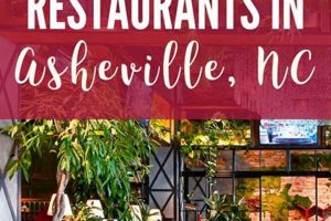 Best Vegan Restaurant Asheville NC: Your Guide! | Discover Delicious Vegan Food, Beauty Swaps, and Zero-Waste Tips for a Greener Life