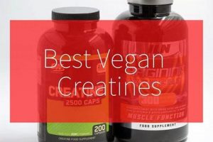 Best Vegan Creatine Supplement: Power Up Plant-Based! | Discover Delicious Vegan Food, Beauty Swaps, and Zero-Waste Tips for a Greener Life