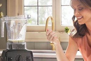 Easy Vegan Vitamix Recipes: Blend Your Way to Delicious! | Discover Delicious Vegan Food, Beauty Swaps, and Zero-Waste Tips for a Greener Life