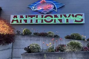 Your Guide to the Best Vegan Restaurants in Bellingham, WA | Discover Delicious Vegan Food, Beauty Swaps, and Zero-Waste Tips for a Greener Life