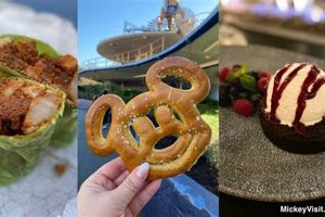 Your Guide: Vegan Food at Disneyland Anaheim (Tips!) | Discover Delicious Vegan Food, Beauty Swaps, and Zero-Waste Tips for a Greener Life