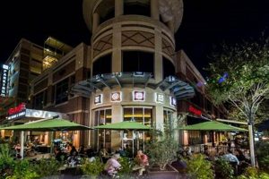 Best Vegan Restaurants in Sugar Land, TX: A Guide | Discover Delicious Vegan Food, Beauty Swaps, and Zero-Waste Tips for a Greener Life