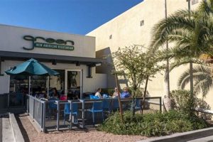 Best Vegan Restaurants in Tempe, AZ: A Local Guide Discover Delicious Vegan Food, Beauty Swaps, and Zero-Waste Tips for a Greener Life Best Vegan Restaurants in Tempe, AZ: A Local Guide | Discover Delicious Vegan Food, Beauty Swaps, and Zero-Waste Tips for a Greener Life