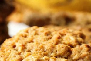 Best Vegan Banana Oatmeal Cookies Recipe: Easy & Healthy | Discover Delicious Vegan Food, Beauty Swaps, and Zero-Waste Tips for a Greener Life