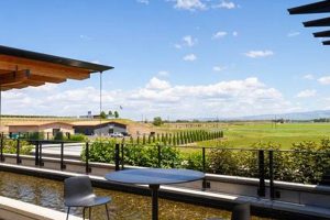 Indulge in Walla Walla's Fancy Vegan Restaurants Today! Discover Delicious Vegan Food, Beauty Swaps, and Zero-Waste Tips for a Greener Life Indulge in Walla Walla's Fancy Vegan Restaurants Today! | Discover Delicious Vegan Food, Beauty Swaps, and Zero-Waste Tips for a Greener Life