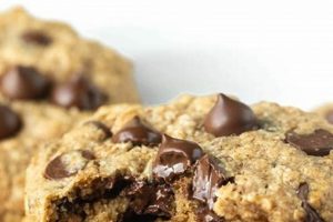 Best Vegan Oatmeal Chocolate Cookies Recipe: Easy & Delicious! Discover Delicious Vegan Food, Beauty Swaps, and Zero-Waste Tips for a Greener Life Best Vegan Oatmeal Chocolate Cookies Recipe: Easy & Delicious! | Discover Delicious Vegan Food, Beauty Swaps, and Zero-Waste Tips for a Greener Life